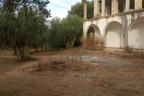 2 bedrooms Apartment in Zakynthos, Greece No. 24580 21