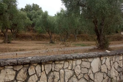 2 bedrooms Apartment in Zakynthos, Greece No. 24580 13