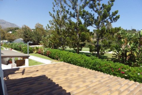 5 chambres Office à Thuan Nam, Vietnam No. 27428 2