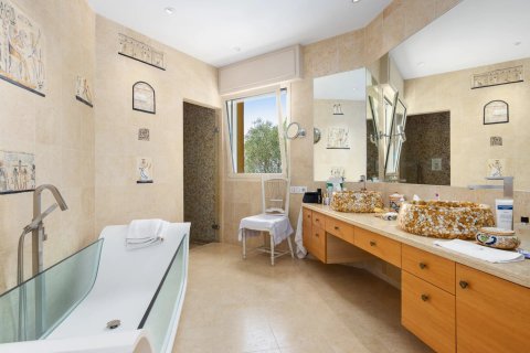 Вилла с 7 спальнями в Мужен, Франция №100279 4