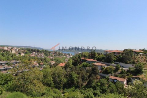 4 bedrooms Apartment in Bach Long Vi, Vietnam No. 17726 24