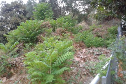 Land in Zakynthos, Greece No. 28056 1