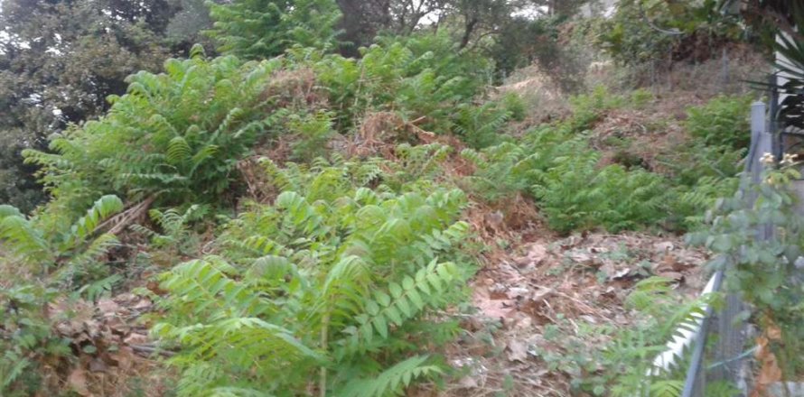 Land in Zakynthos, Greece No. 28056