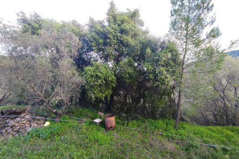 House in Zakynthos, Greece No. 24551 10