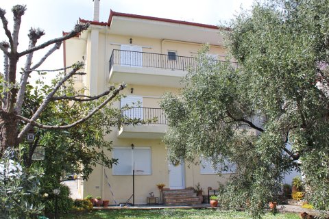 8 bedrooms House in Larissa, Greece No. 108068 5