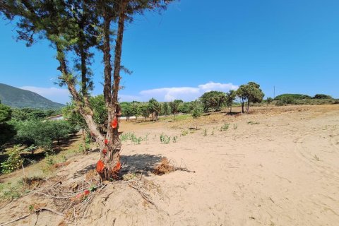 5064m² Land in Corfu, Greece No. 107608 3