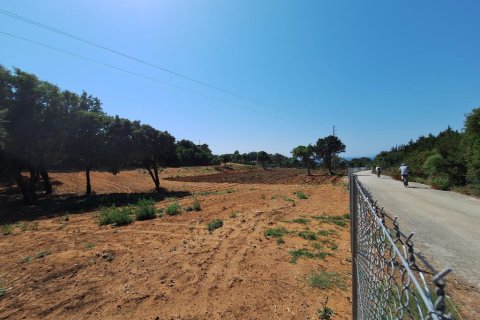 5064m² Land in Corfu, Greece No. 107608 16
