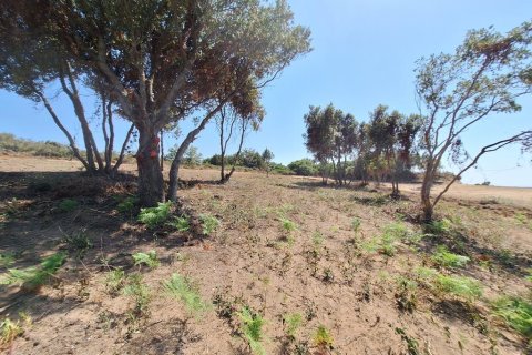 5064m² Land in Corfu, Greece No. 107608 8