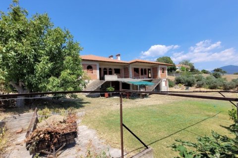 400m² House in Panorama, Greece No. 107494 10