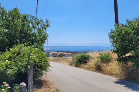 400m² House in Panorama, Greece No. 107494 4