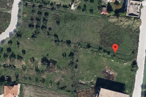 3500m² Land in Zakynthos, Greece No. 57400 2