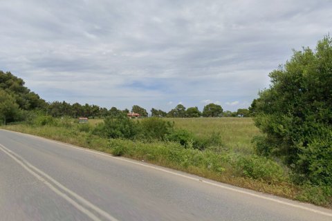 Земельный участок 16688м² в Халкидики, Греция №117576 3