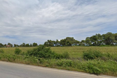 Земельный участок 16688м² в Халкидики, Греция №117576 4