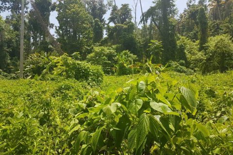 40469m² Land à Calibishie, Dominica No. 66286 5