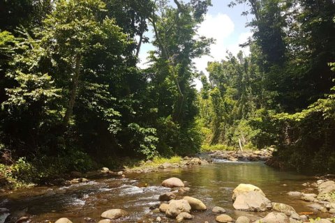 40469m² Land à Calibishie, Dominica No. 66286 3