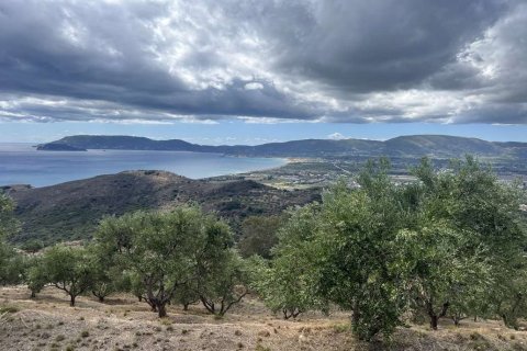 Land en Zakynthos, Greece No. 71302 7