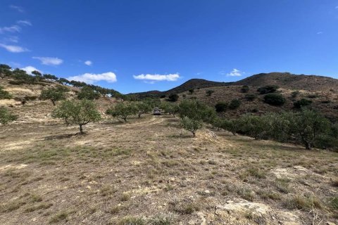 Land en Zakynthos, Greece No. 71302 16