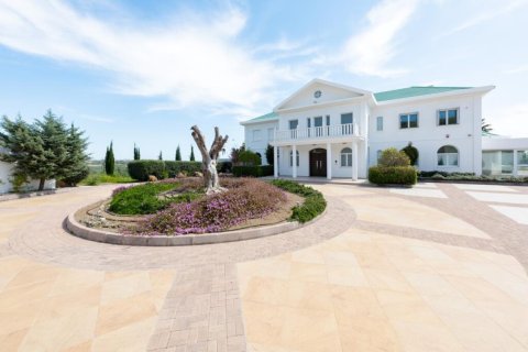 7 dormitorios Villa en Limassol, Cyprus No. 106557 15