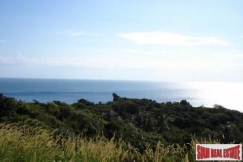 35200m² Land in Ko Lanta Yai, Thailand No. 96442 8