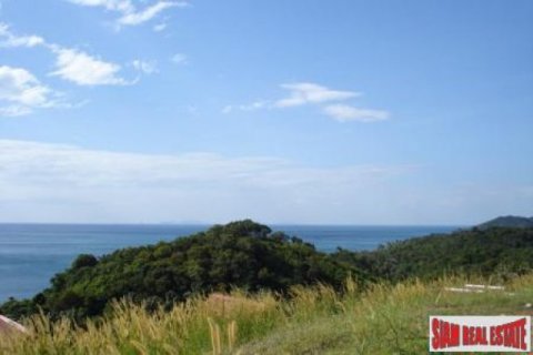 35200m² Land in Ko Lanta Yai, Thailand No. 96442 7