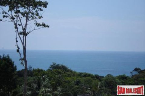 35200m² Land in Ko Lanta Yai, Thailand No. 96442 4