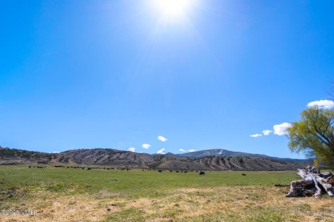 15.13m² Land in Gypsum, USA No. 104550 7