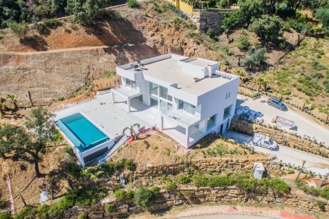 Вилла с 4 спальнями в Tan Xuan, Вьетнам №27189 5