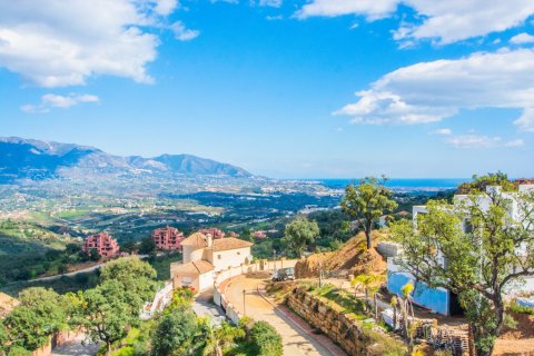 Вилла с 4 спальнями в Tan Xuan, Вьетнам №27189 10