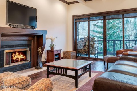 3 bedrooms Condo  in Beaver Creek, USA No. 104543 1