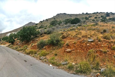 Земельный участок 12000м² в Ласитион, Греция №59178 5