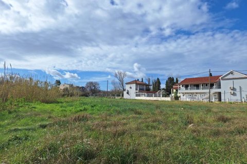 5060m² Land in Corfu, Greece No. 123214 5