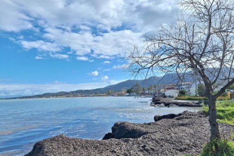 5060m² Land in Corfu, Greece No. 123214 16