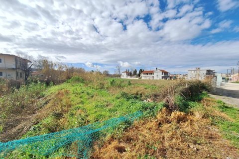 5060m² Land in Corfu, Greece No. 123214 2