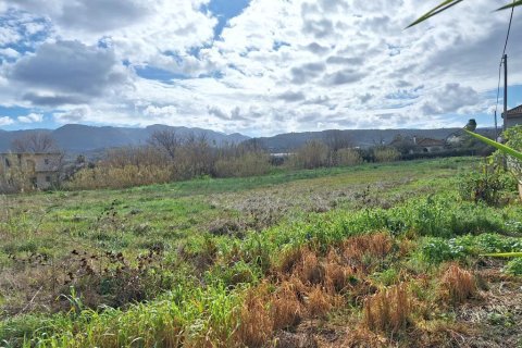 5060m² Land in Corfu, Greece No. 123214 7