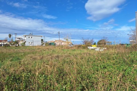 5060m² Land in Corfu, Greece No. 123214 3