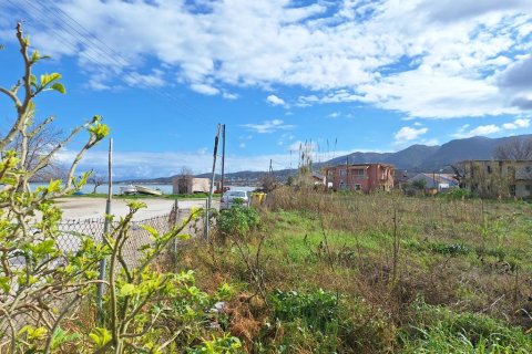 5060m² Land in Corfu, Greece No. 123214 11