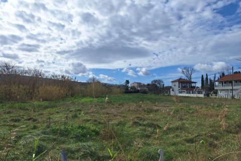 5060m² Land in Corfu, Greece No. 123214 6