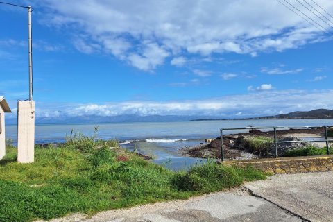 5060m² Land in Corfu, Greece No. 123214 15