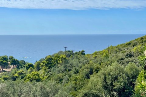 8000m² Land à Corfu, Greece No. 108526 22