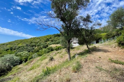 8000m² Land à Corfu, Greece No. 108526 21