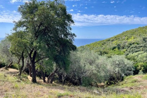 8000m² Land à Corfu, Greece No. 108526 29