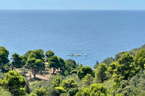 8000m² Land à Corfu, Greece No. 108526 6