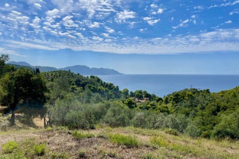 8000m² Land à Corfu, Greece No. 108526 26