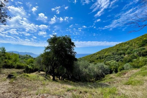 8000m² Land à Corfu, Greece No. 108526 9