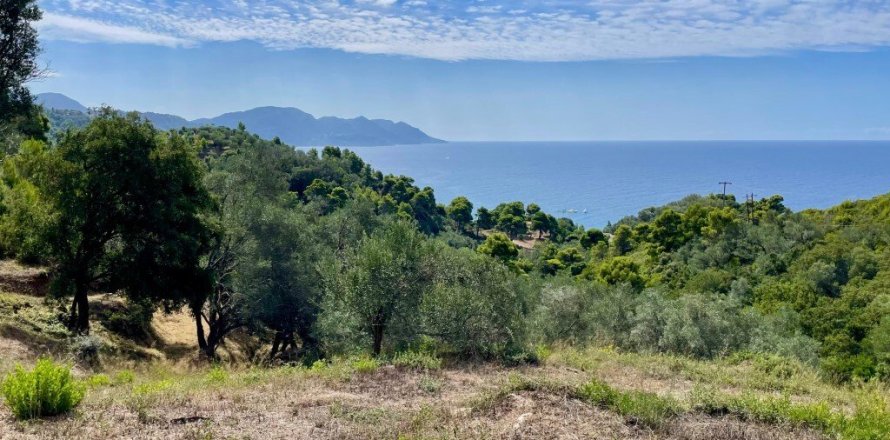 8000m² Land à Corfu, Greece No. 108526
