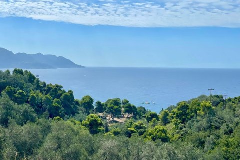 8000m² Land à Corfu, Greece No. 108526 14