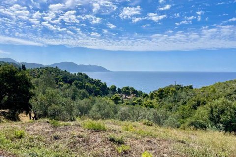 8000m² Land à Corfu, Greece No. 108526 13