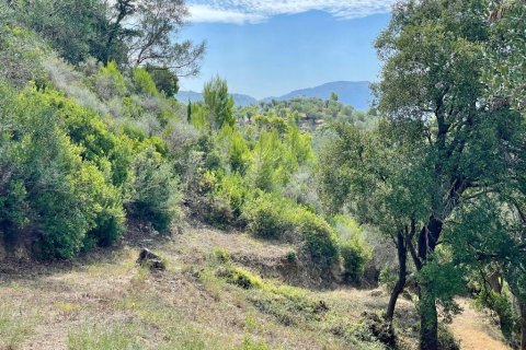 8000m² Land à Corfu, Greece No. 108526 27