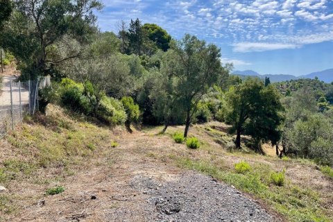 8000m² Land à Corfu, Greece No. 108526 18