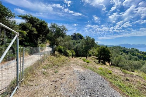 8000m² Land à Corfu, Greece No. 108526 11